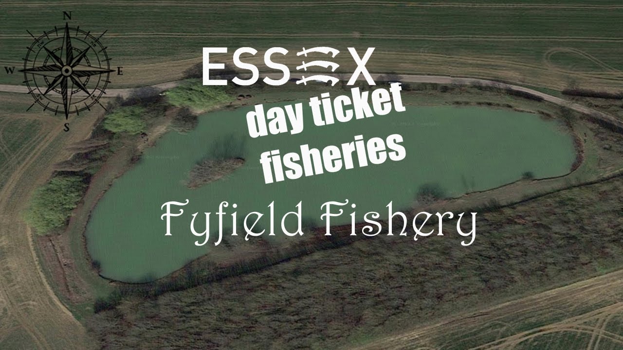 Carp Fishing / Essex Day Tickets - Fyfield Fishery