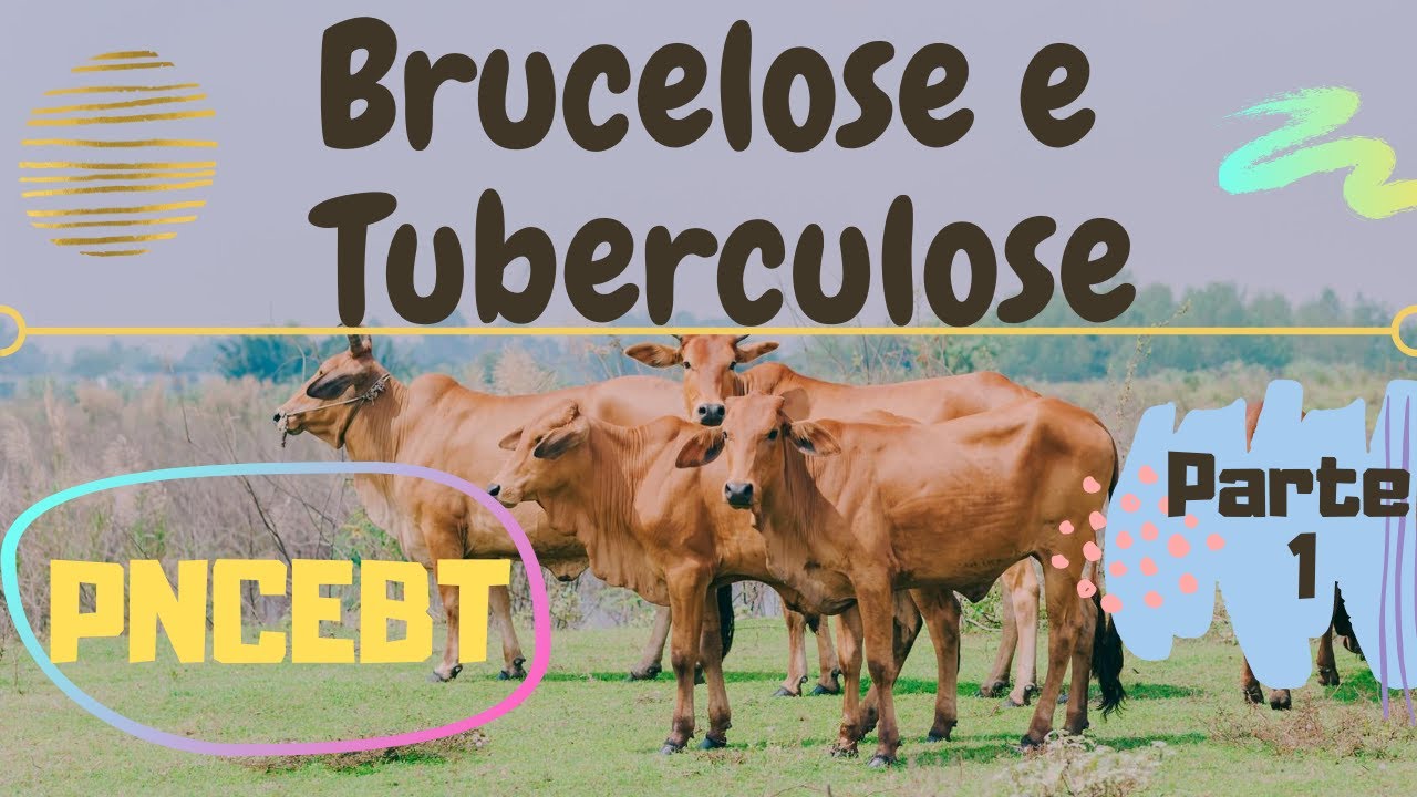 Programa Nacional de Controle e Erradicação da Brucelose e da Tuberculose Animal - PNCEBT (PARTE 1)