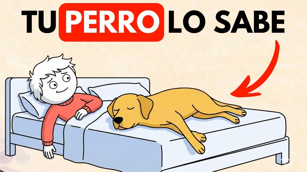 Si duermes con tu perro, esto dice MUCHO sobre ti (Segun Psicología)
