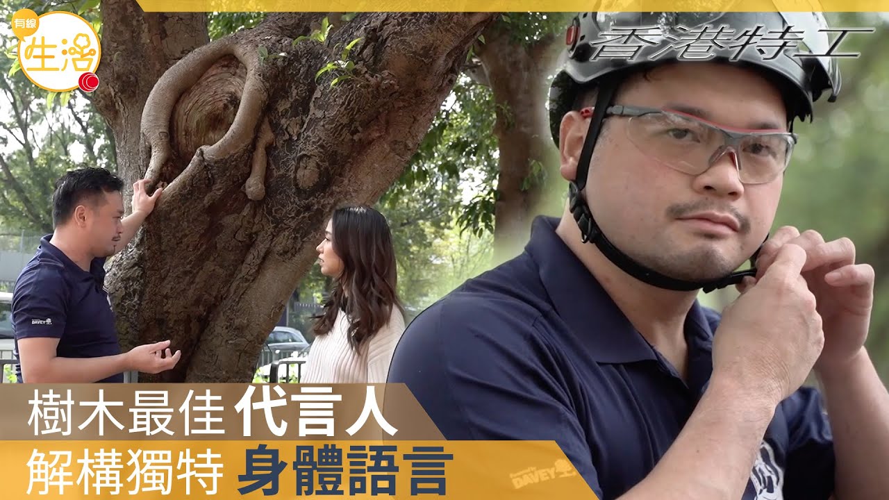 資深樹藝師分享入行起薪約$13,000起 樹洞原來代表樹木受過傷？樹腳有木耳靈芝菇類要小心 要搵專業人士檢查 可找樹藝師作風險評估買第三者保險 #香港特工－OTT