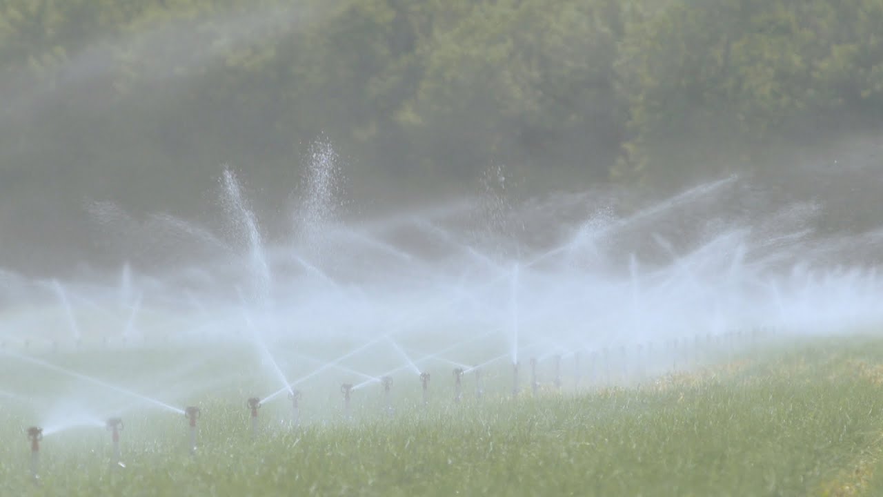 La semaine verte | Le Canada menac&eacute; par les p&eacute;nuries d'eau