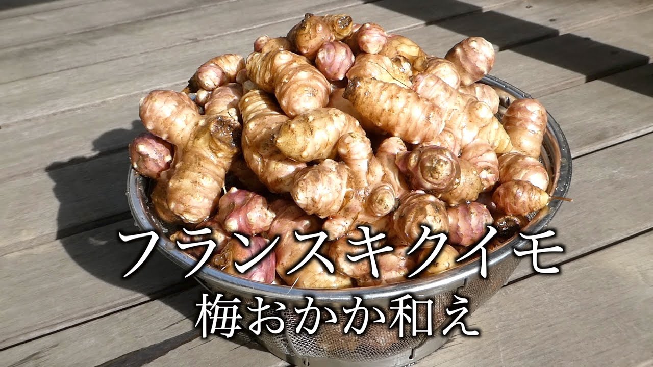菊芋 レシピ　フランス菊芋 梅おかか和え　Jerusalem artichoke recipe