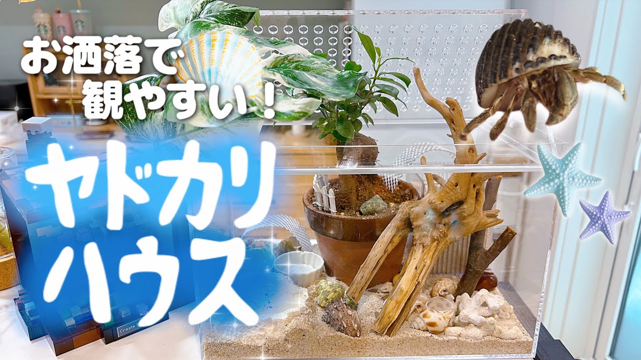 オカヤドカリの楽園作ってみた！