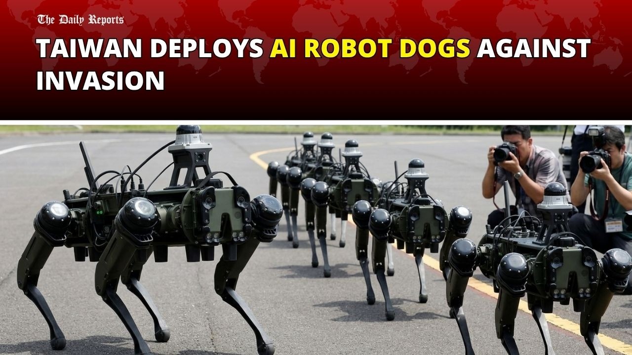 Taiwan Deploys Armed AI Robot Dogs to Guard Beaches Against Invasion! | The Daily Reports