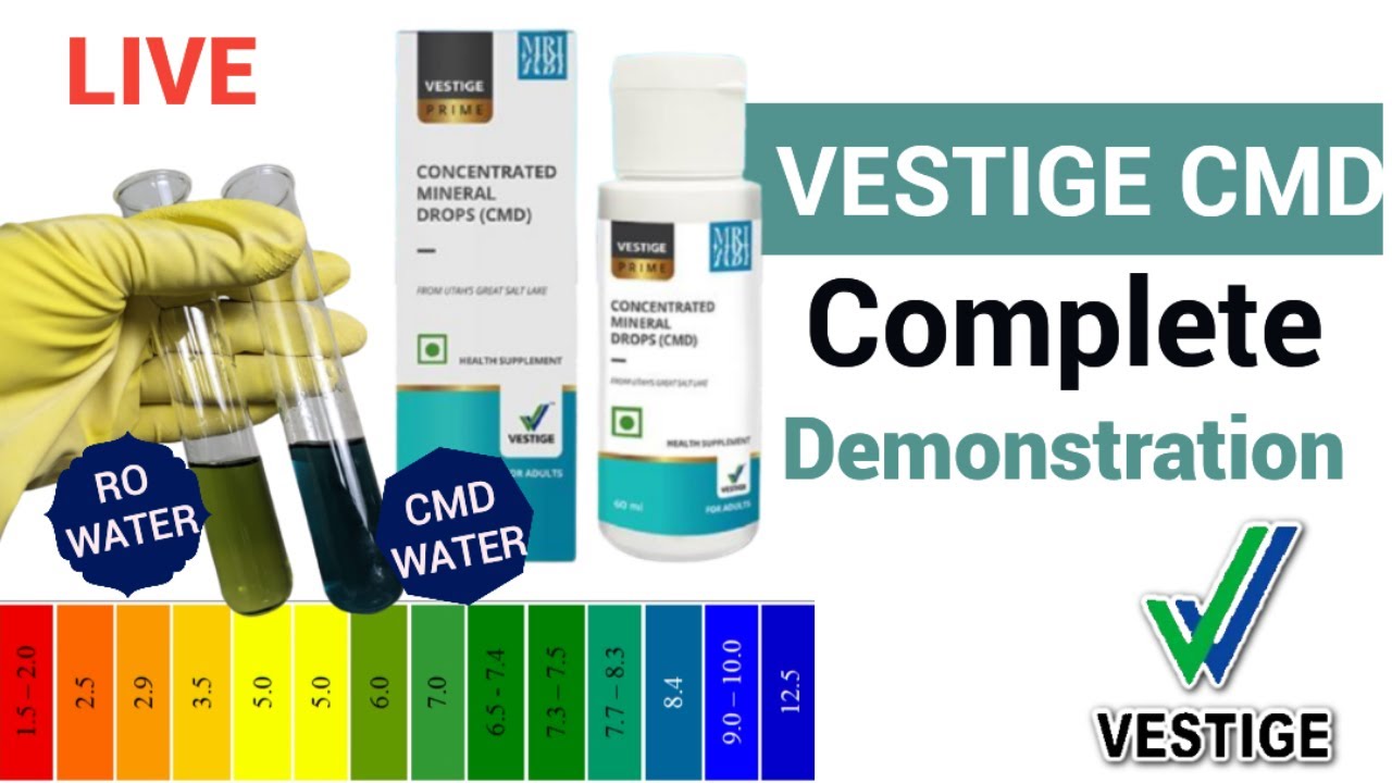 COMPLETE VESTIGE CMD DEMONSTARTION | PH SOLUTION DEMO AND ELECTRICITY DEMO