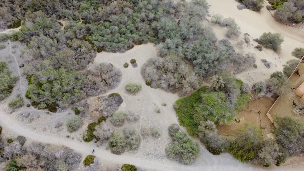 Maspalomas dunes DJI Mini 2