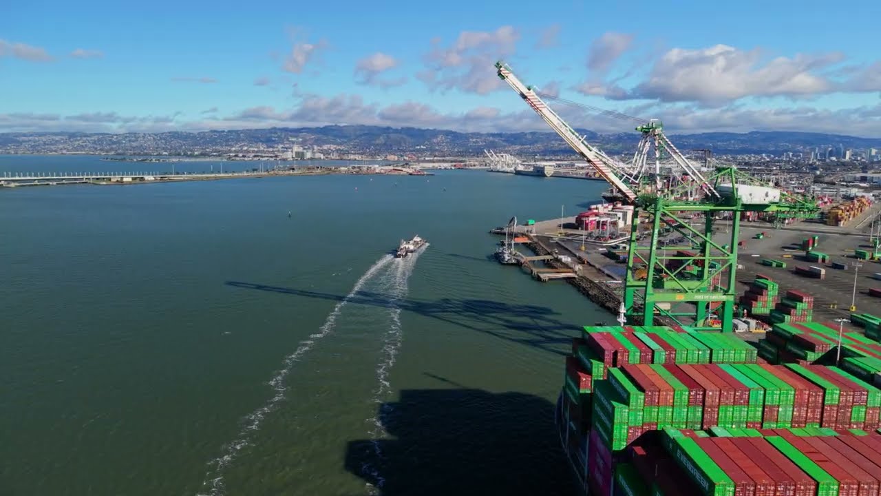 DJI Mini 5 Pro 12/27/25 Birds And Boats