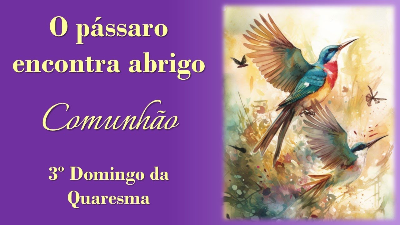 O PÁSSARO ENCONTRA ABRIGO | 3º Domingo da Quaresma | Comunhão (GR/MR - Ano B/C)