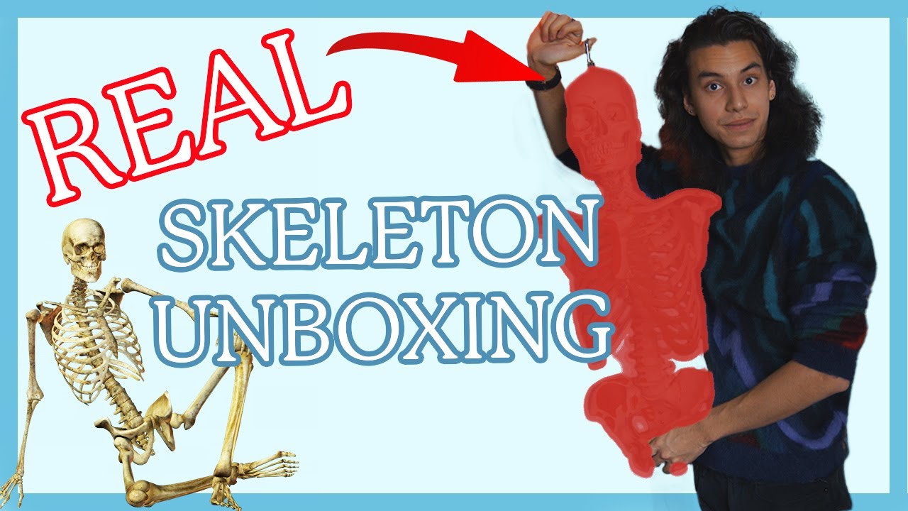 Unboxing A Real Human Skeleton!