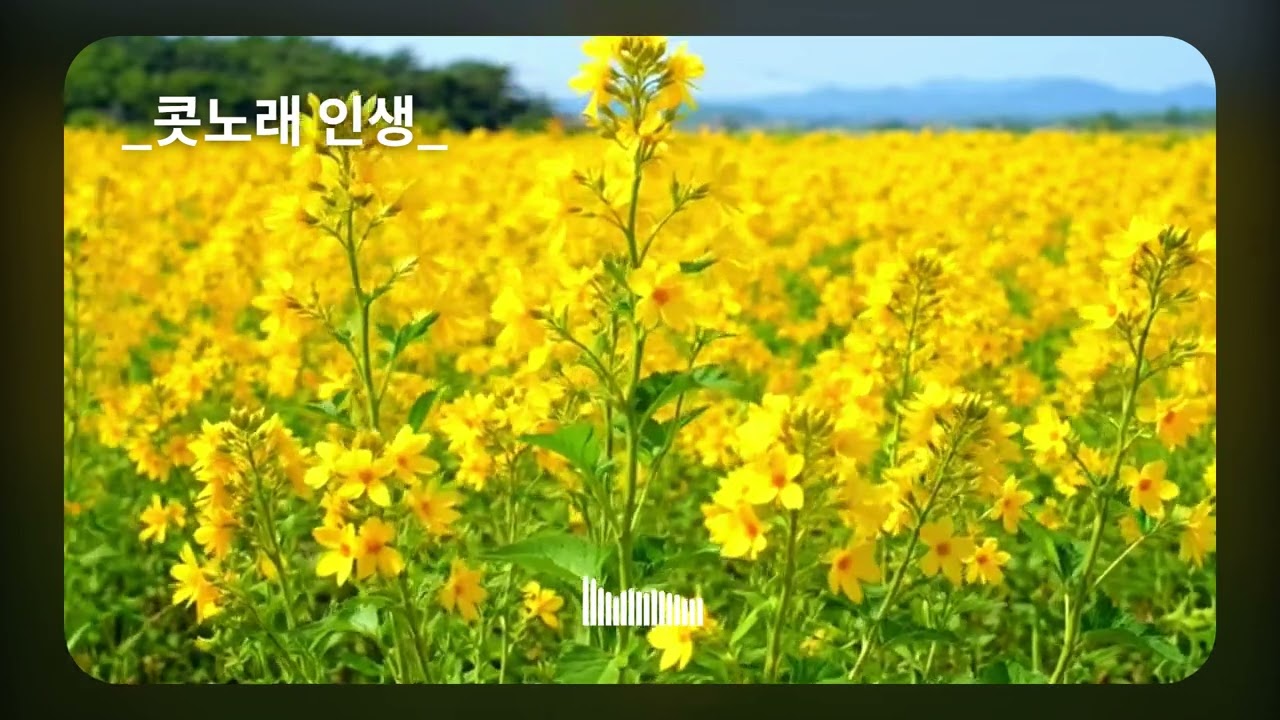 트롯 BEST(K-Trot))-10곡 매들 