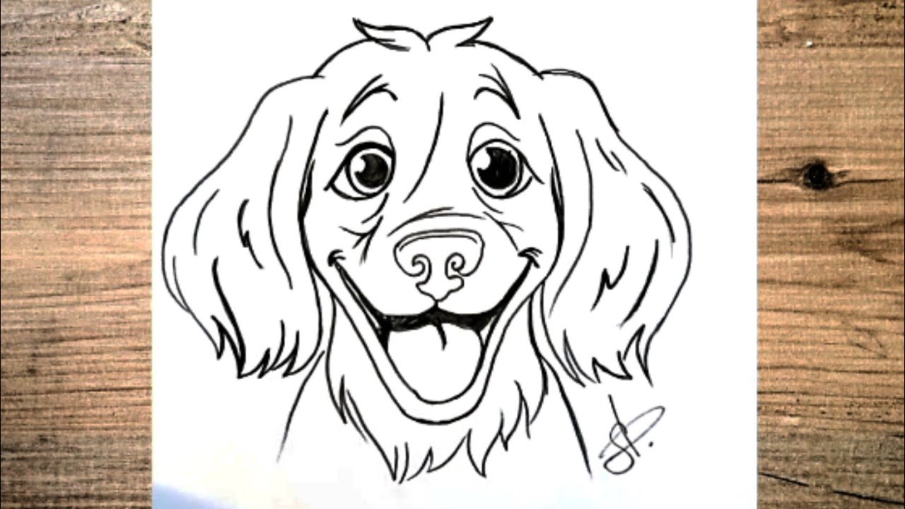 How to draw a dog easily