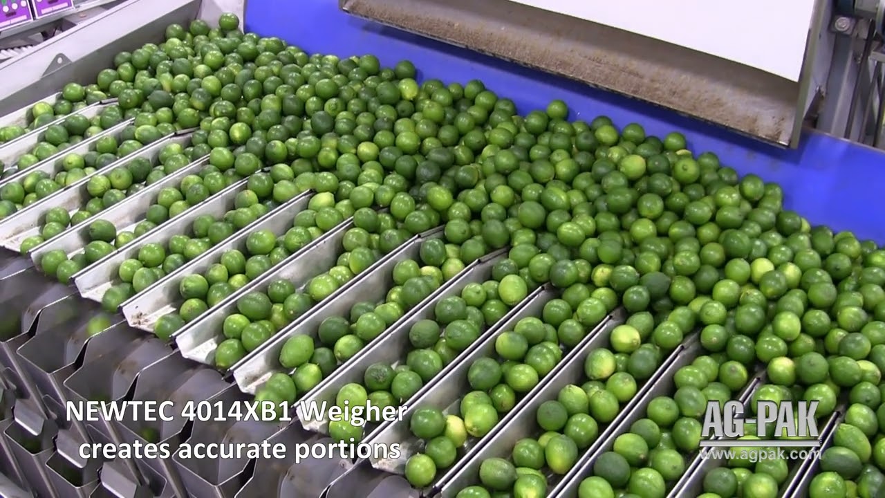 Ag-Pak Lime Packaging Line with Wicketed Bags
