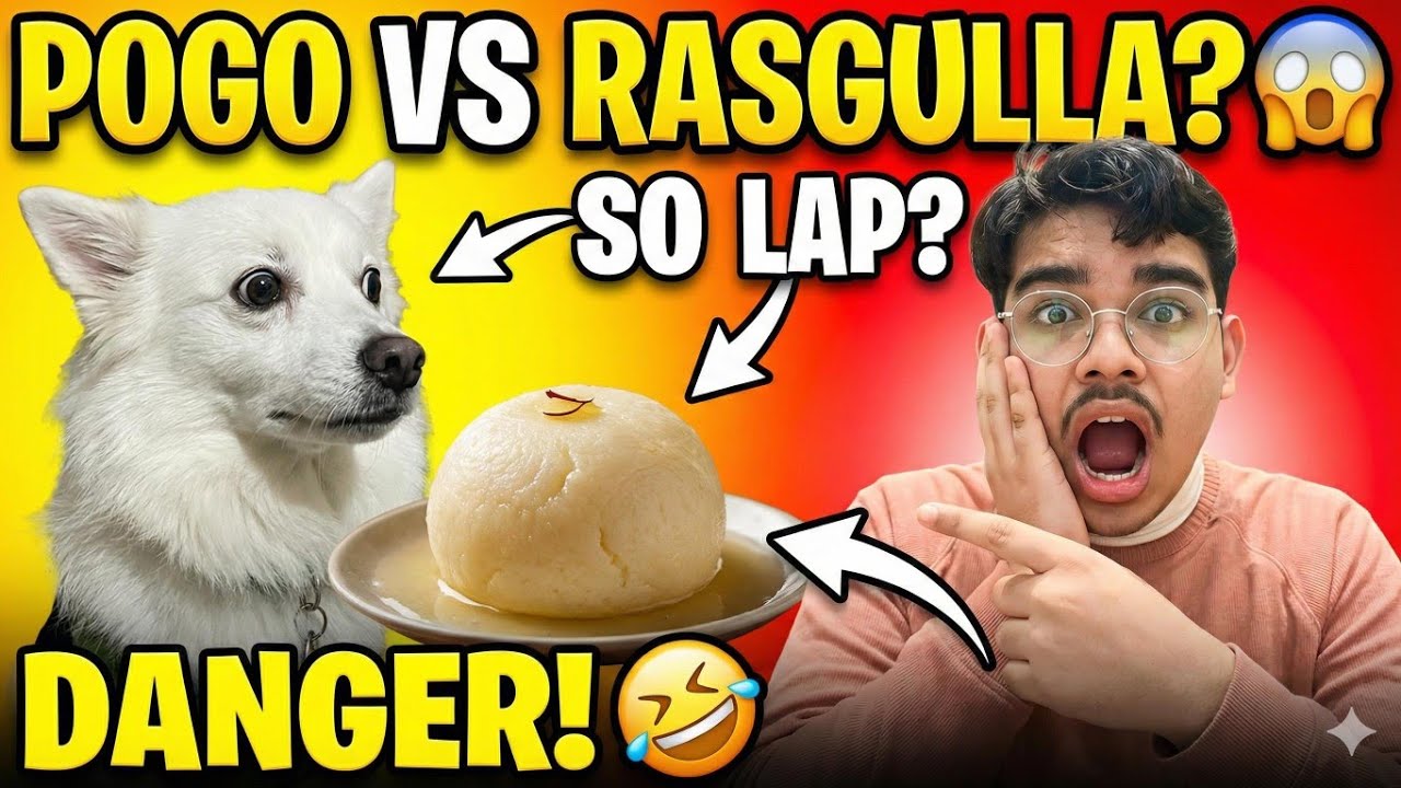 Pogo Rasgulla Dekh Kar Darr Gaya? 😱 Funny Dog Reaction! 