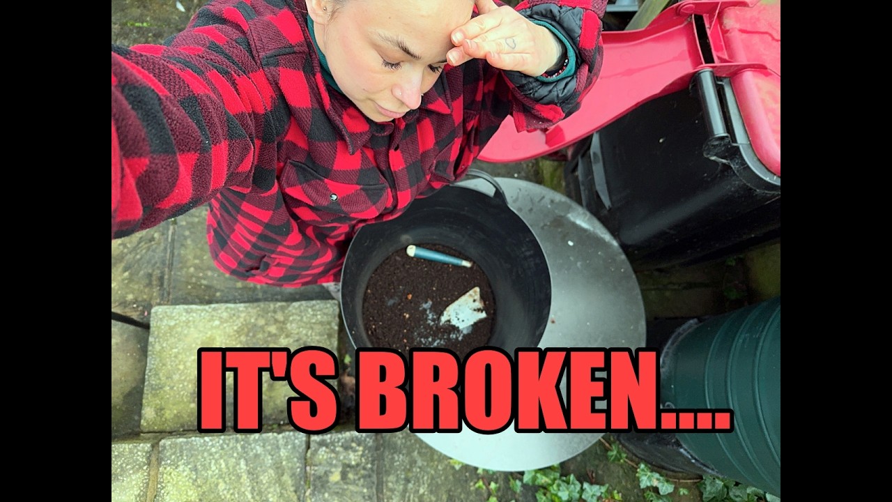 Sowing Seeds on My Windowsill in February | Home Garden Diaries