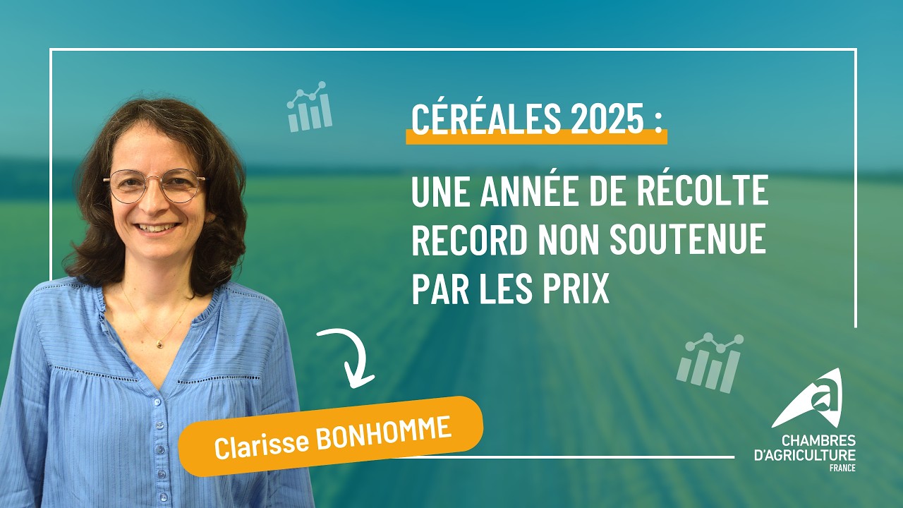 Céréales 2025, des récoltes record non soutenues par les Prix