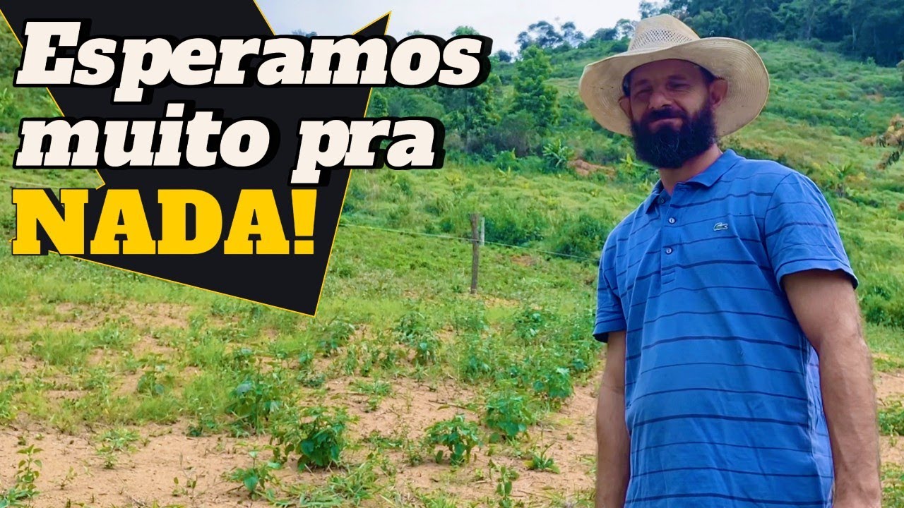 O plano deu errado! Nova área de cultivo e limpeza da baia