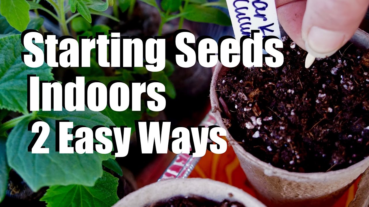 Starting Seeds Indoors for Your Spring Garden - 2 Easy Ways // $10 Garden Series #1, Season 2