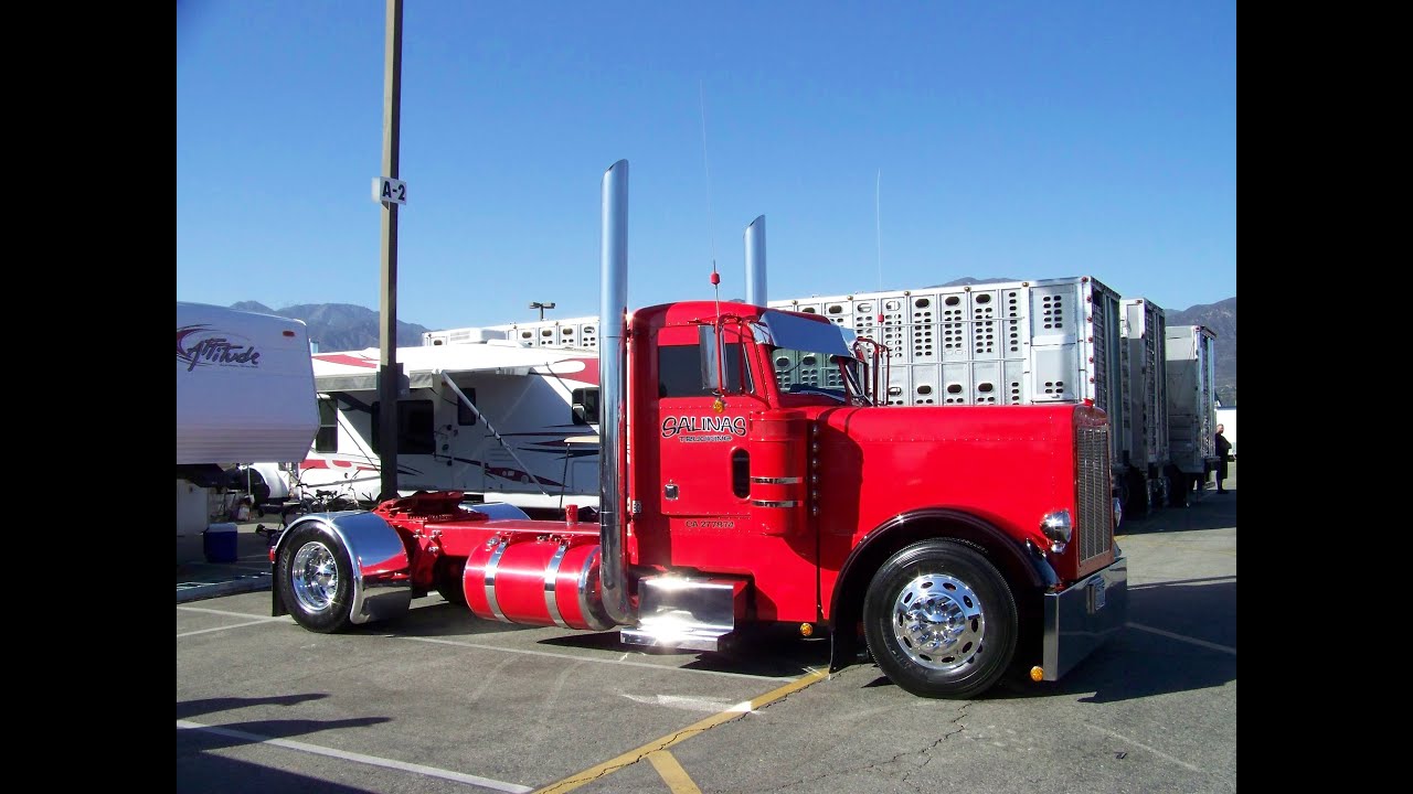 Salinas Trucking Peterbilt 379 Coming And Going At Truckin' For Kids 2013
