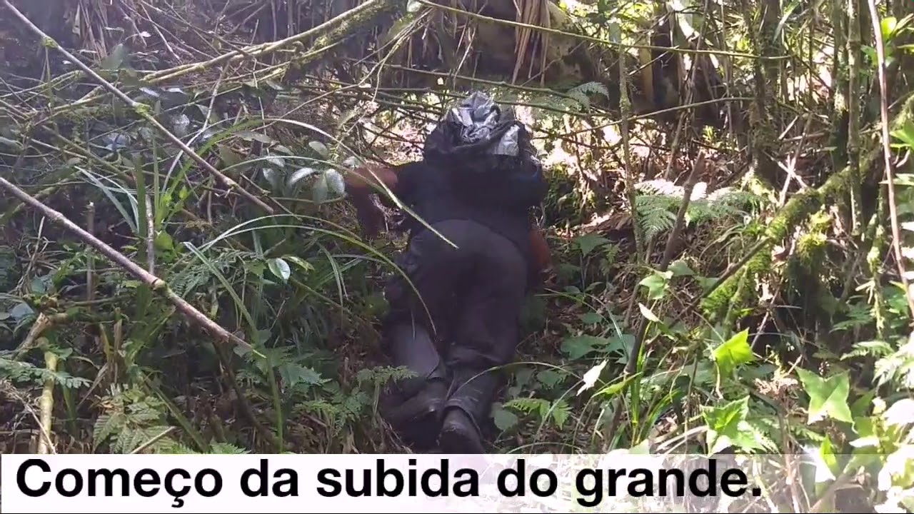 Travessia dos Capivaris