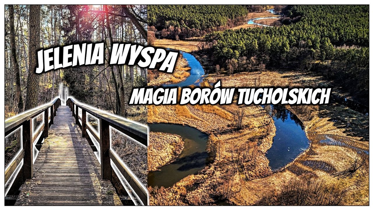 MAGICZNE BORY TUCHOLSKIE - JELENIA WYSPA #podróże #polska #przyroda #urbex
