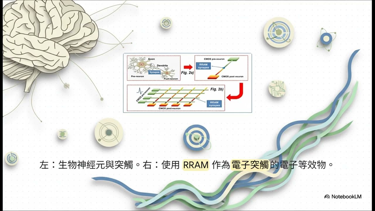 🧠 大腦啟發運算：打破馮紐曼瓶頸與 RRAM 技術的人工智慧硬體革命 🚀
