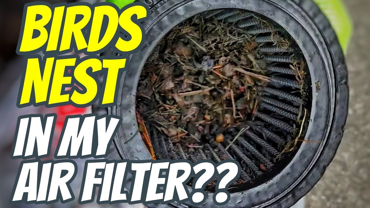 DIY: Air filter change filter- Honda 919