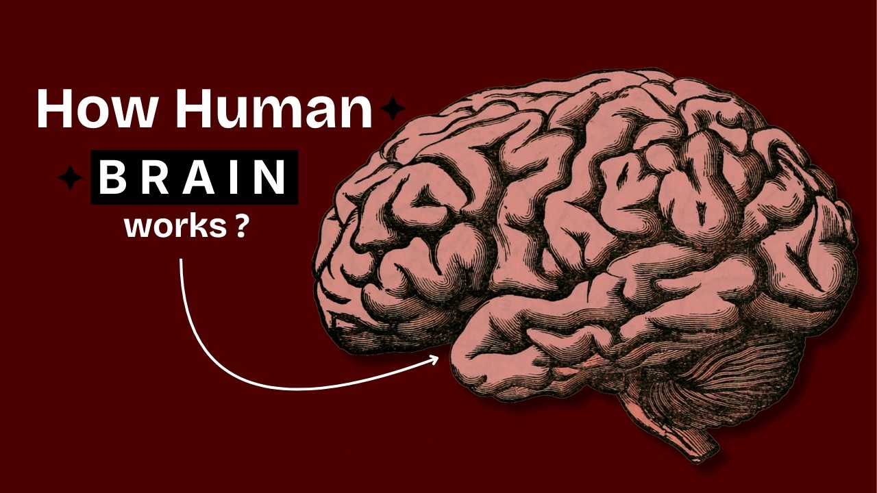 How Your Mind Works | If You Know This You Will Control The Situation. In Hindi |