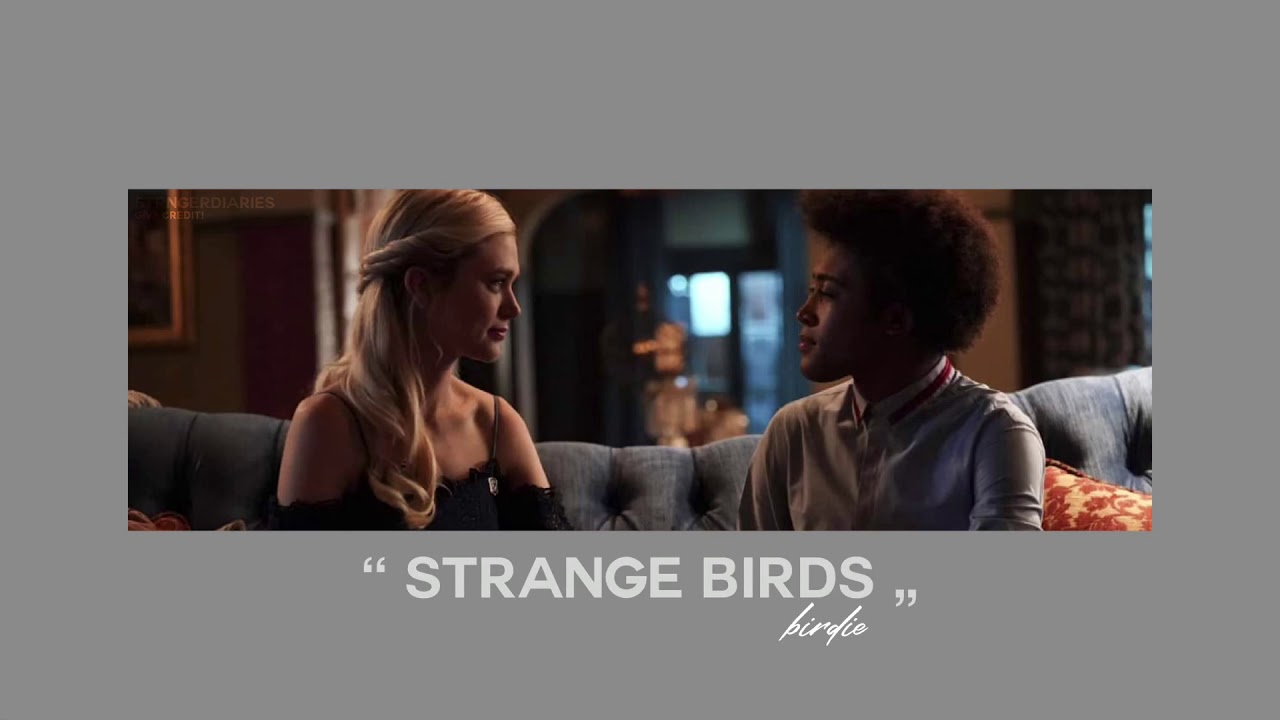 ( slowed down ) strange birds