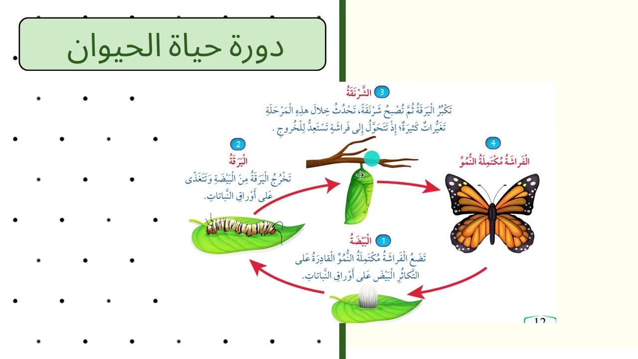 علوم / الصف الثالث / الوحدة الاولى / الدرس الأول / دورة حياة الكائنات الحية  الجزء  2