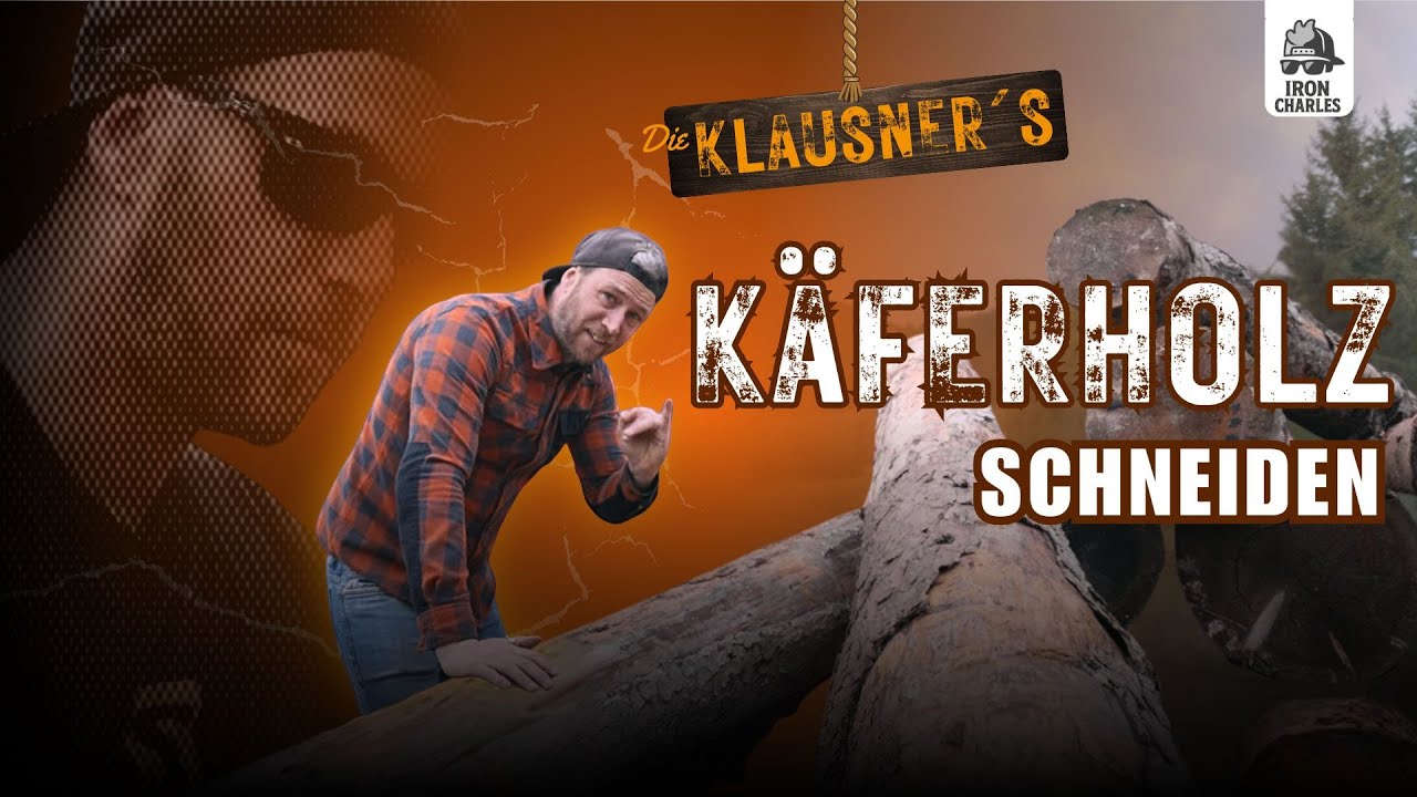Eigenes K&auml;ferholz s&auml;gen & verwerten
