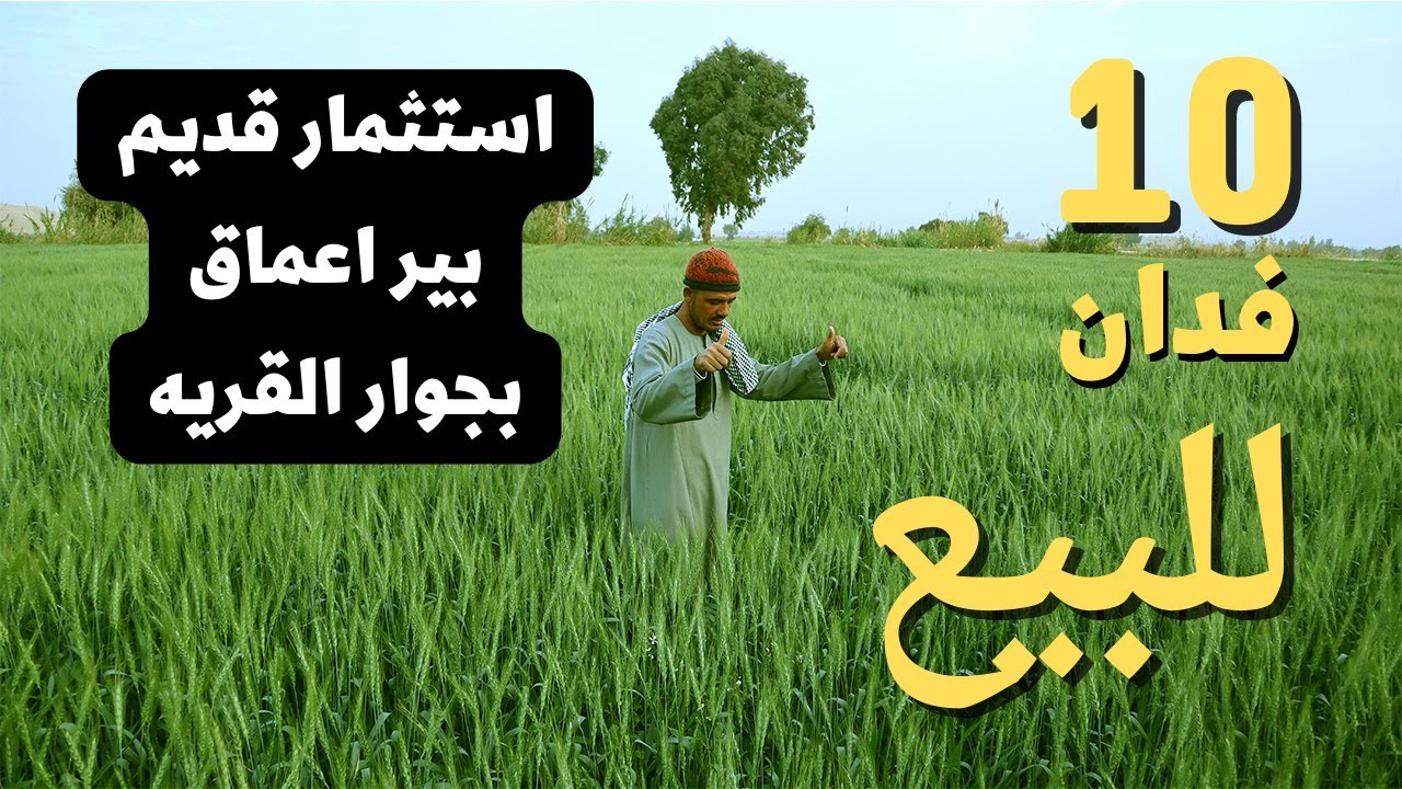 للبيع 10 فدان استثمار خالص من الدوله علي بير اعماق | الفرافره | طائر الوادي