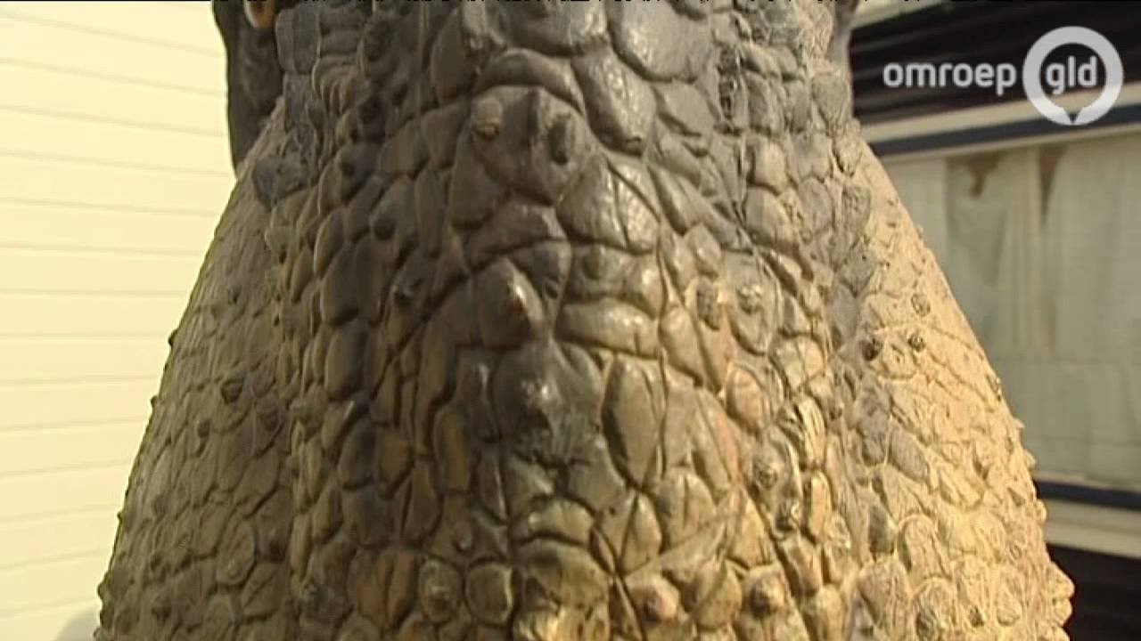 Jongen (7) uit Doornenburg vindt fossiel grootste dino