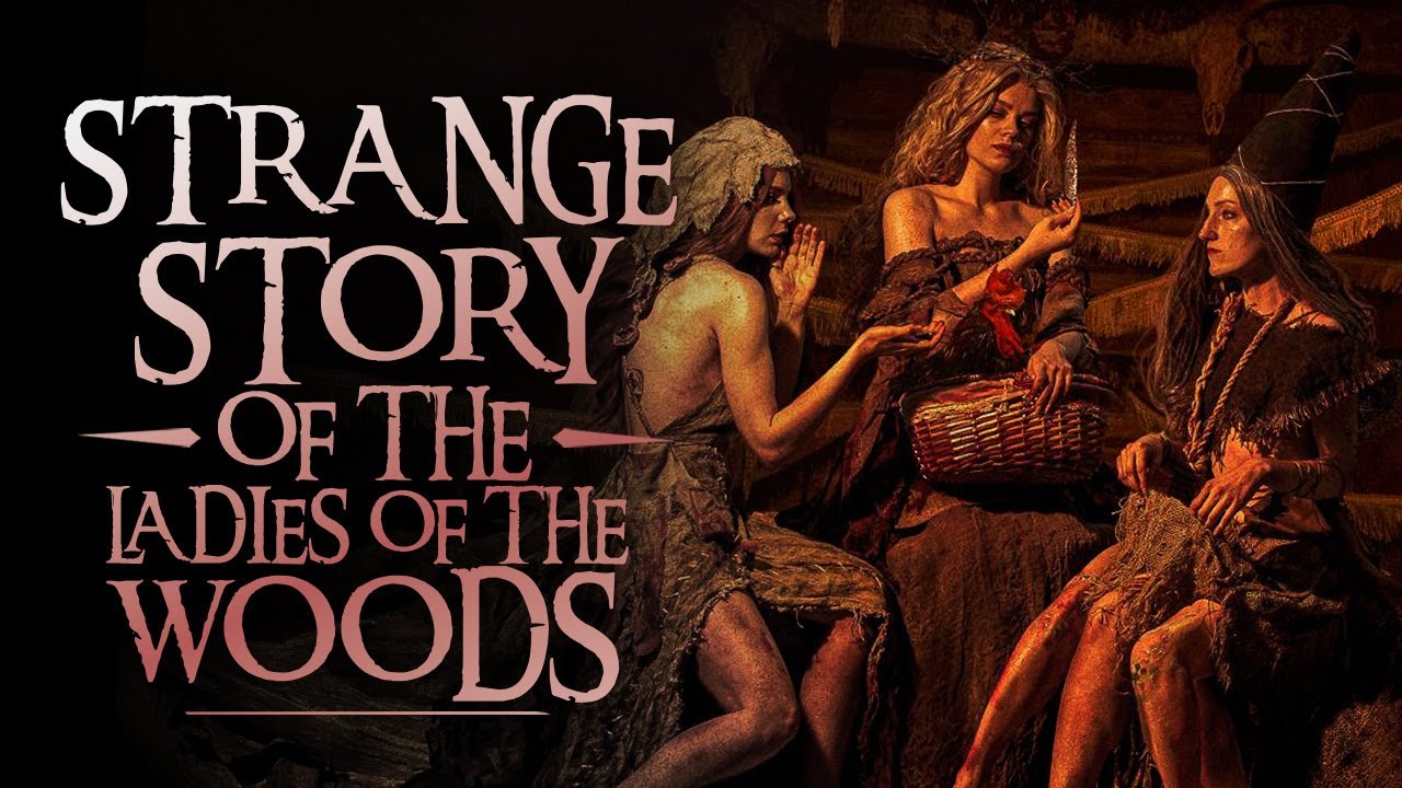 What Are The Crones? The Ladies of the Wood from the Witcher Lore
