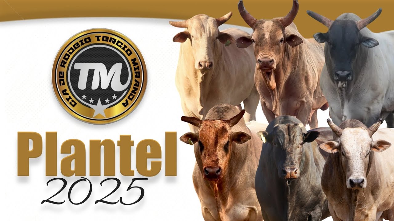 🟤 #Plantel2025 | Cia T&eacute;rcio Miranda 
