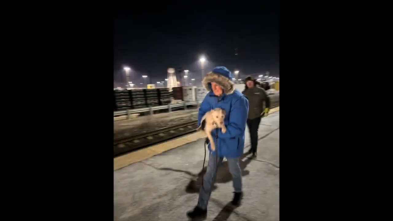 Murphy (lost dog) found almost immediately by SmithicAir