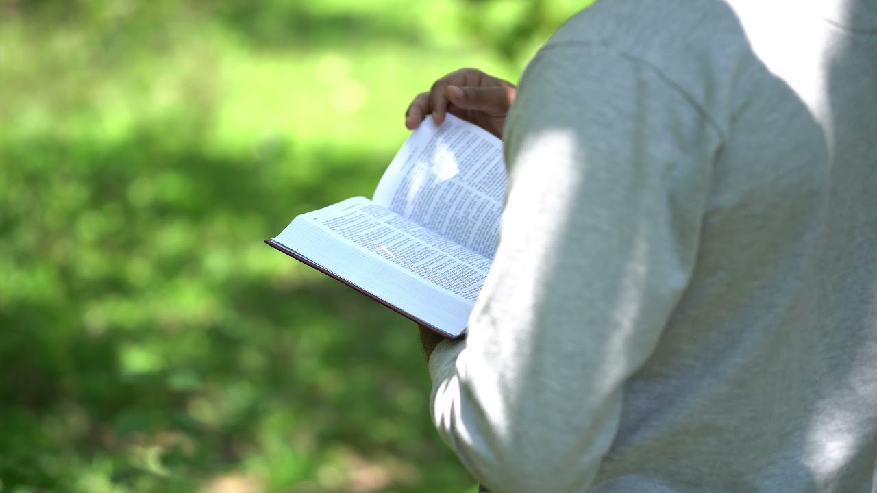 No Copyright Videos - Bible Reading [NCV Released] (4K Footage)