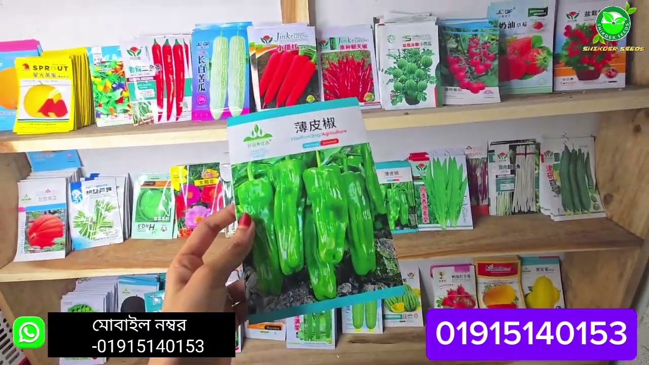 এগুলো বারোমাসি চায়না সবজির বীজ এবং উচ্চ ফলনশীল#virul#subscribe#chinaseeds#