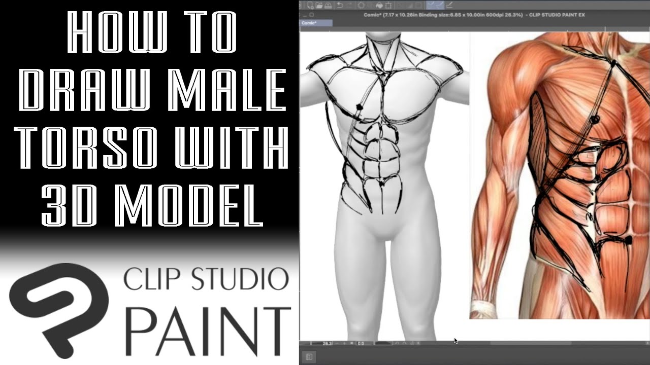 How I Draw Using 3D Models | Male Muscular Torso