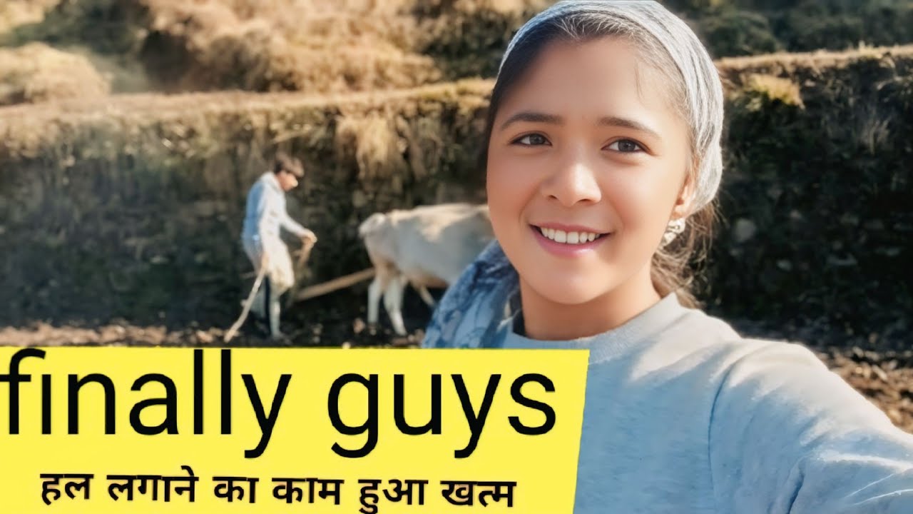 Finally आज से हल लगाने का काम हुआ खत्म 😊 !! पहाड़ी लाइफ स्टाइल #vlog @Roshninegivlogs 