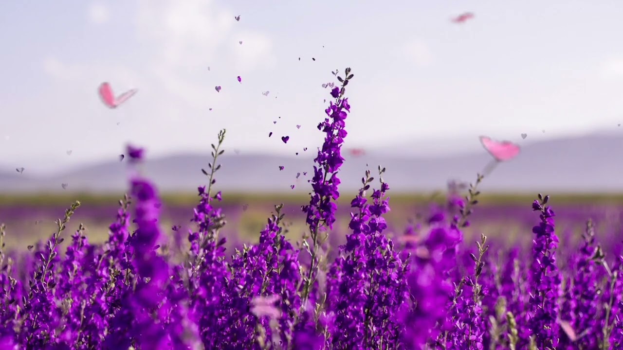 Phool Ko Thunga ( Kutumba: Folk Roots )