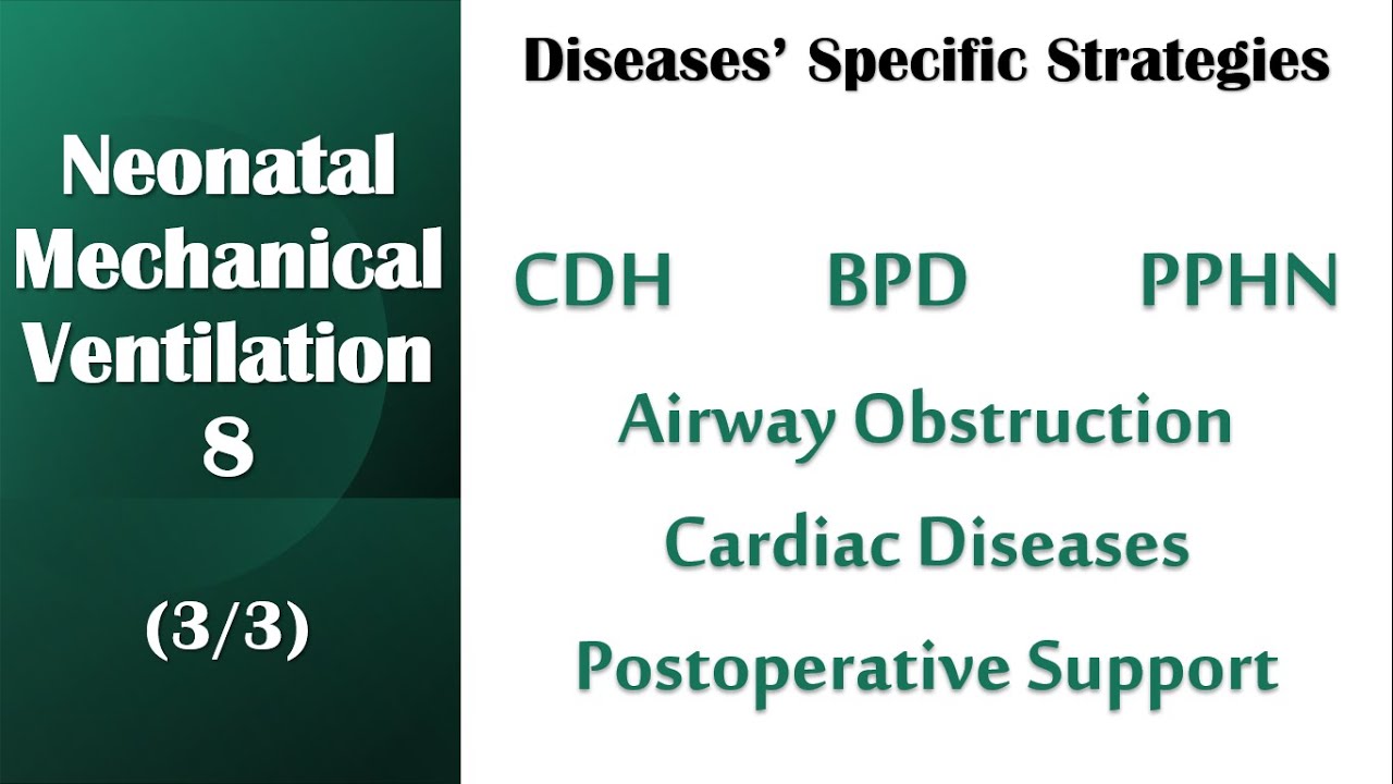 Neonatal Mechanical Ventilation 8 (3/3)| Diseases' Specific Strategies | CDH, BPD, PPHN, Others