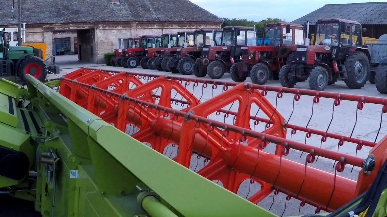 Aratás előtti szikrapróba / Traditional sparks test before harvest  *GoPro* HD