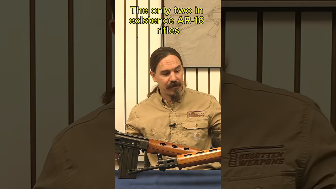 AR-16: Armalite's Lost Battle Rifle