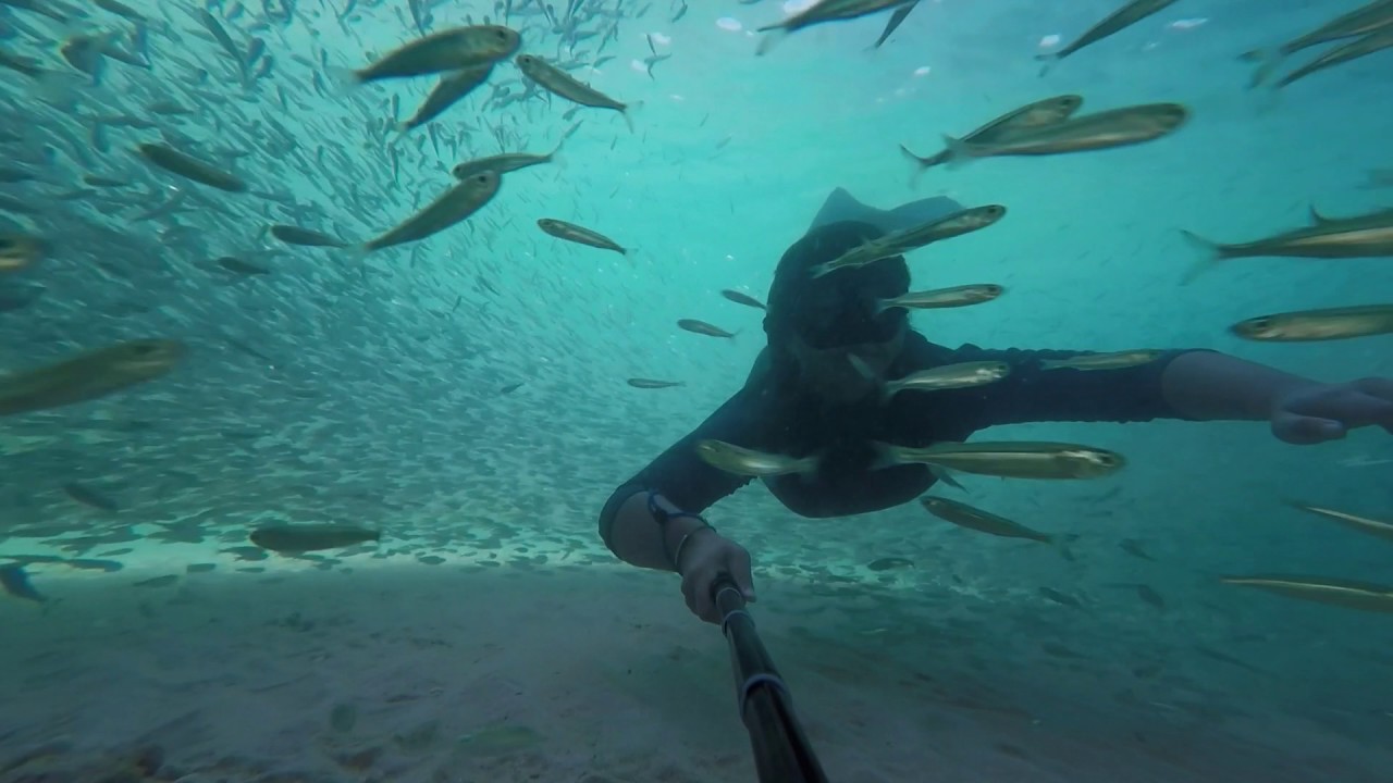 Free diving - Pulau Kapas