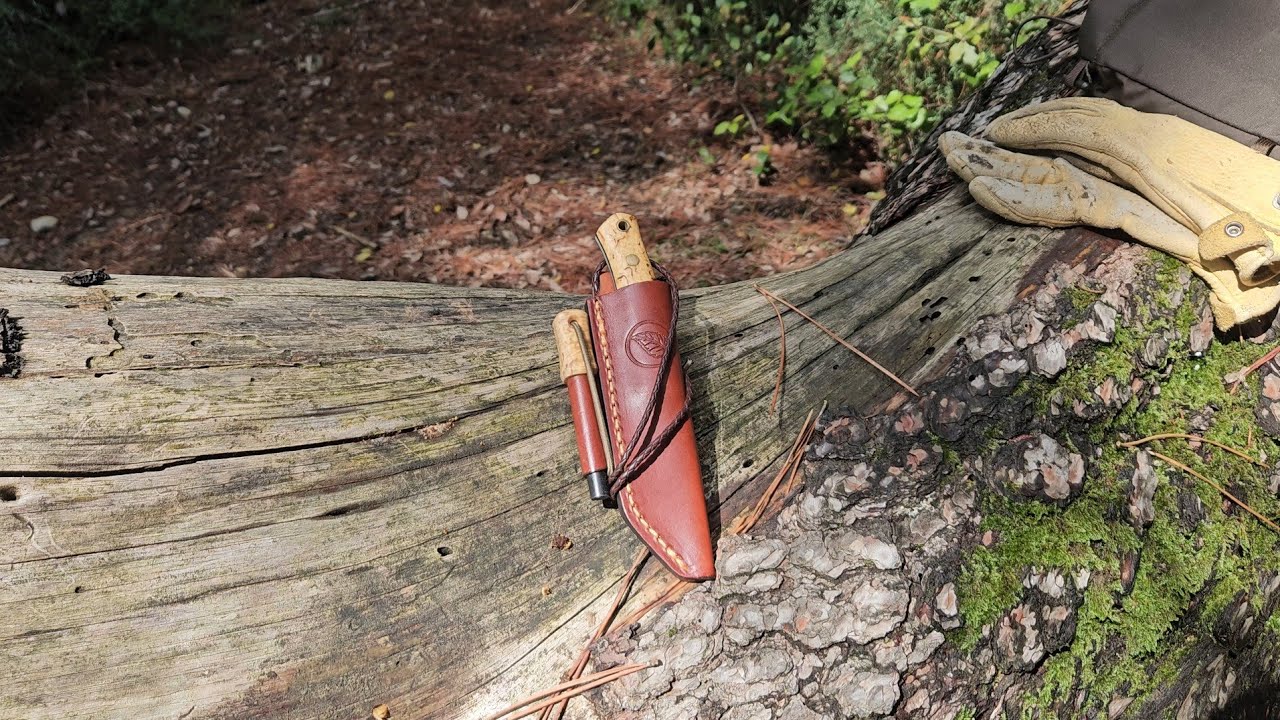 My best small bushcraft/survival knife! || Casstrom n.8 || Small but Mighty!