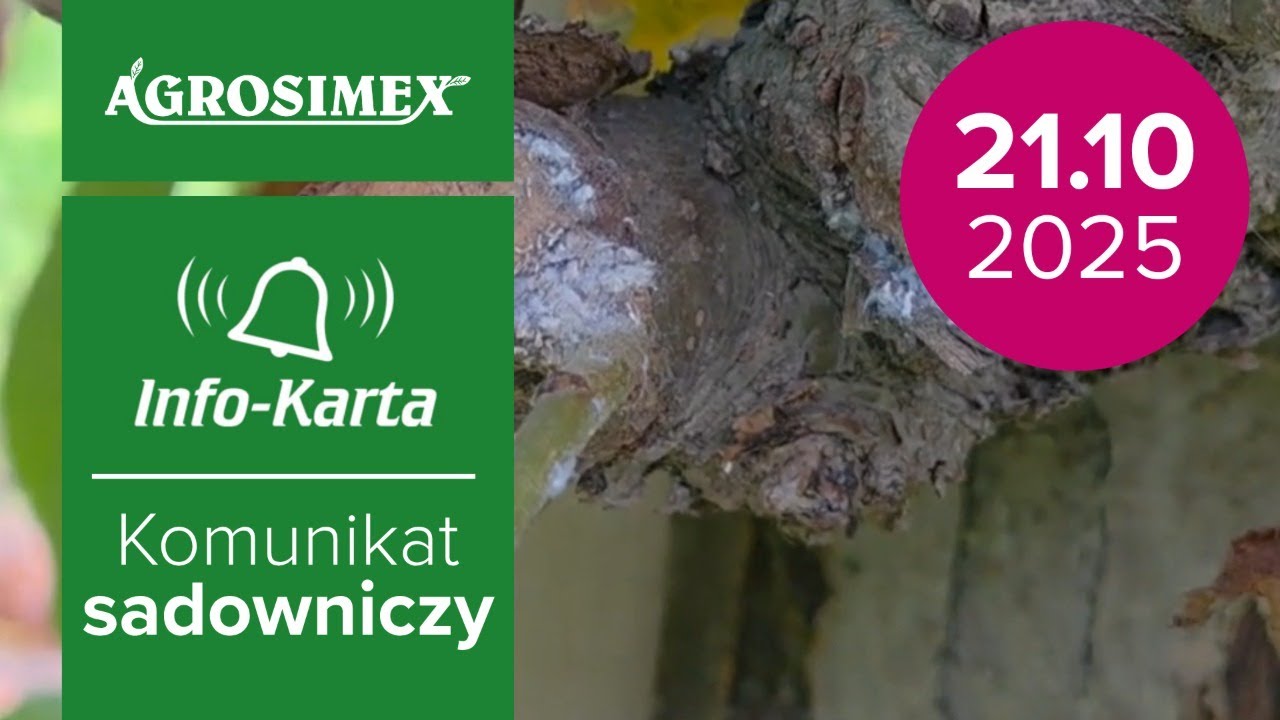 Zabiegi pozbiorcze w sadach | Komunikat Sadowniczy