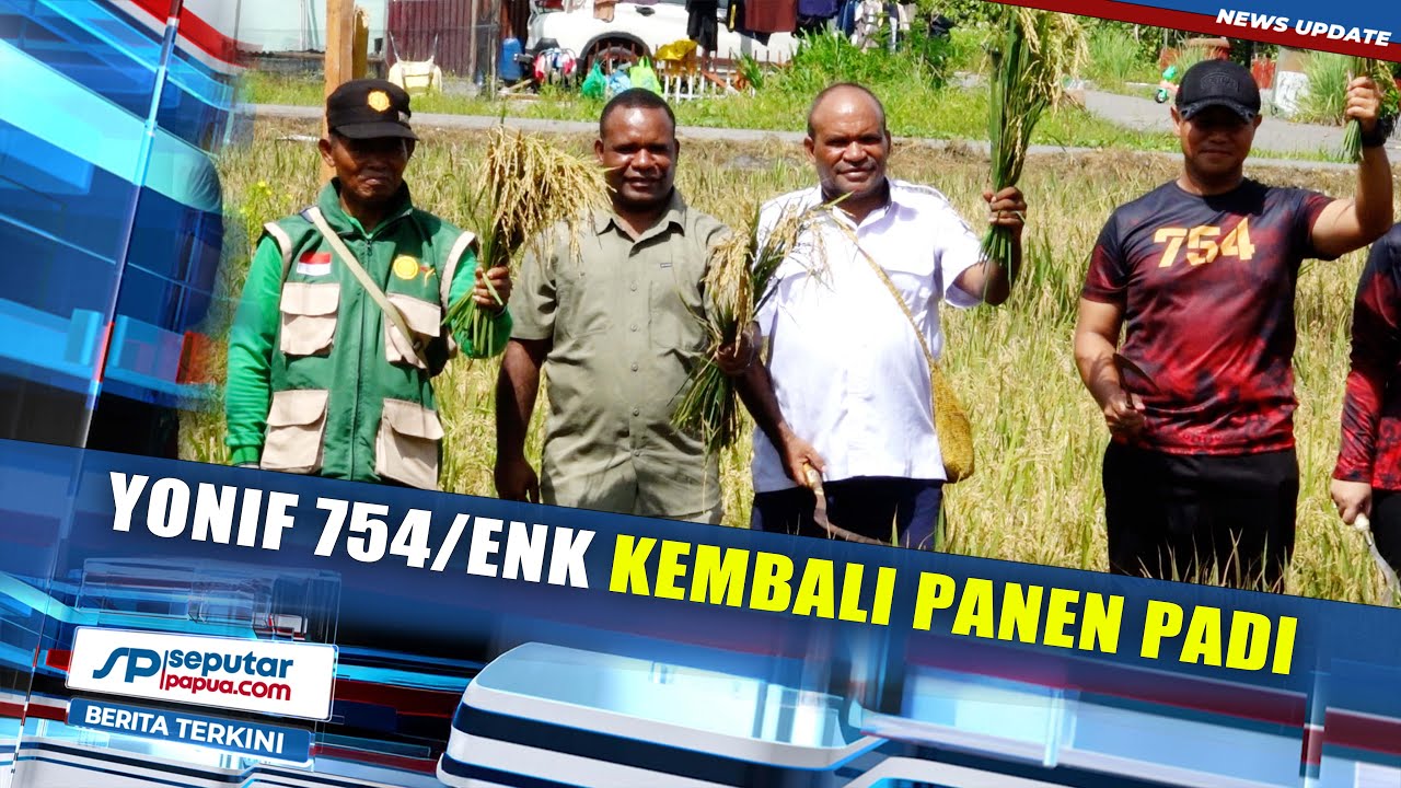Dukung Program Ketahanan Pangan, Yonif 754 ENK Kembali Panen Padi