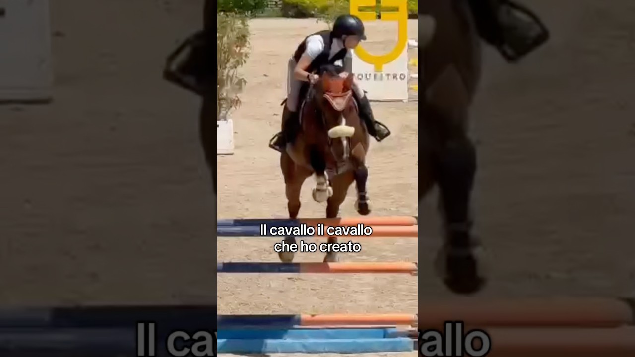 Due anni di noi ❤️ #horse #camilla_deleonardis #equestrian #perte #didi #equitazione #cavalli