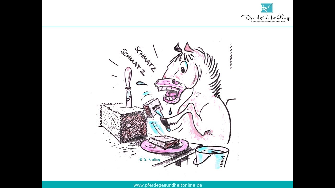 Der Magen-Darm-Trakt des Pferdes