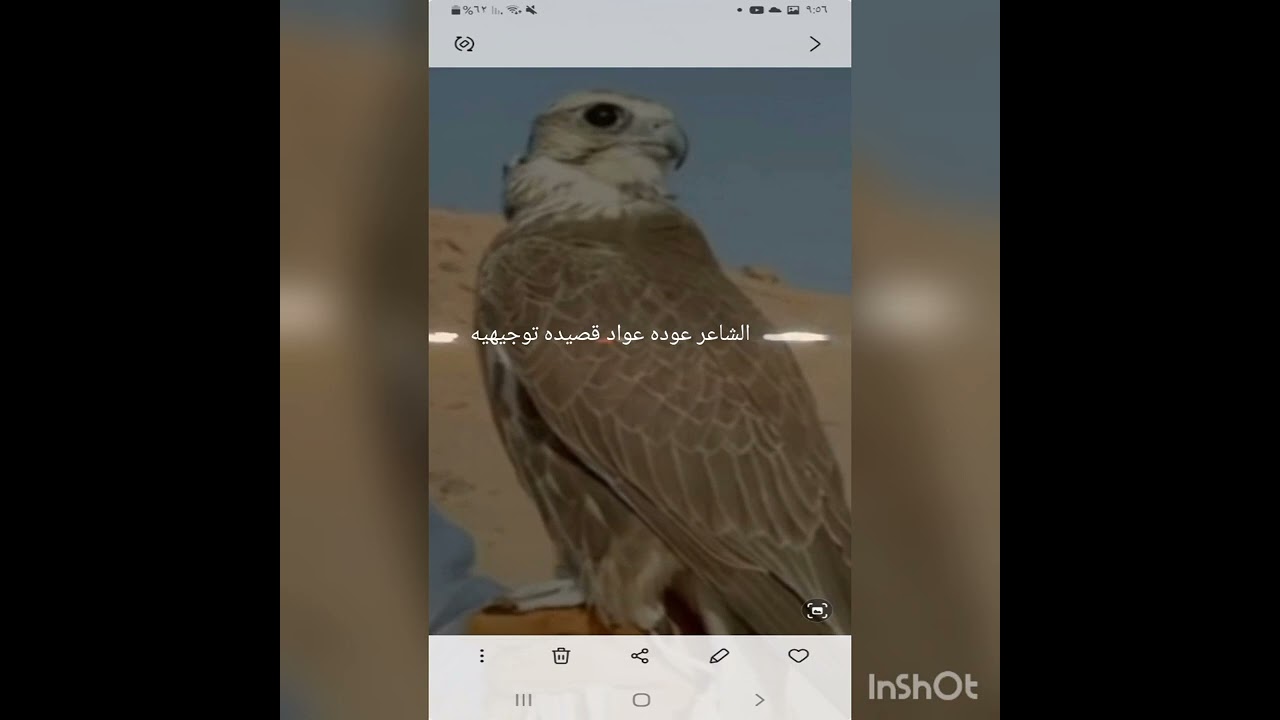 شاعر عوده عواد الخياري الرشيدي  قصيده توجيهيه